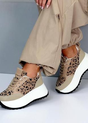 Бежеві моко леопардові жіночі кросівки кеди на високій підошві потовщеній кросівки на платформі6 фото