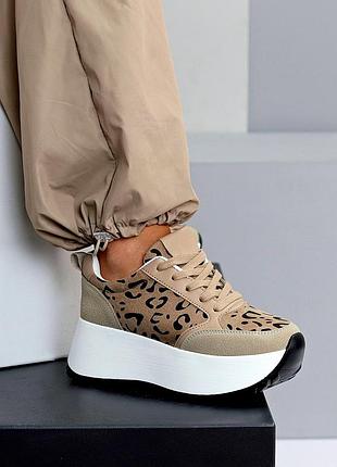 Бежеві моко леопардові жіночі кросівки кеди на високій підошві потовщеній кросівки на платформі
