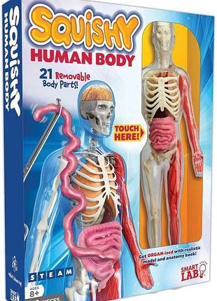 Набор для изучения тела скелет и органы сквиш smartlab squishy human body