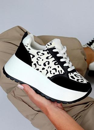 Кросівки код 21948