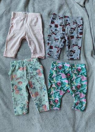 Лосіни, штанці для дівчинки