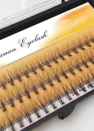 Накладные ресницы nesura eyelash premium 10d 0,10 изгиб dcr 8мм 60 пучков
