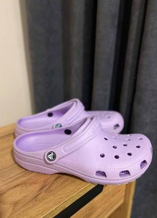 Классические crocs лаванда m13 оригинал