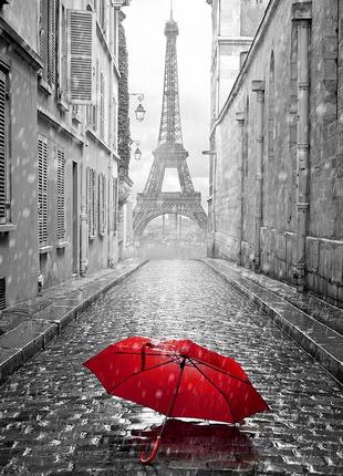 Алмазна мозаїка на підрамнику париж 40х50 tn1002