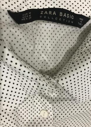 Zara базовая офисная рубашка горохи капельки9 фото