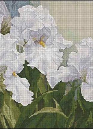Набір для вишивання хрестиком. розмір: 45*30 см білі іриси