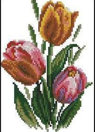 Набор для вышивки крестиком. размер: 11*15 см тюльпаны