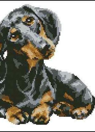 Набор для вышивки крестиком. размер: 21*20 см такса