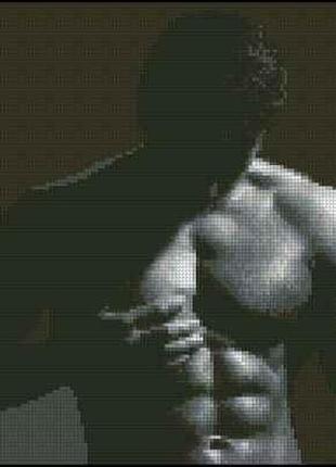 Набір для вишивання хрестиком. розмір:  24*21 см качок