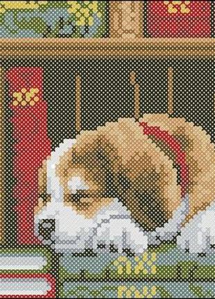 Набір для вишивання хрестиком. розмір: 11*11 см пес