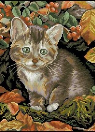 Набір для вишивання хрестиком. розмір: 23*22 см осіннє кошеня