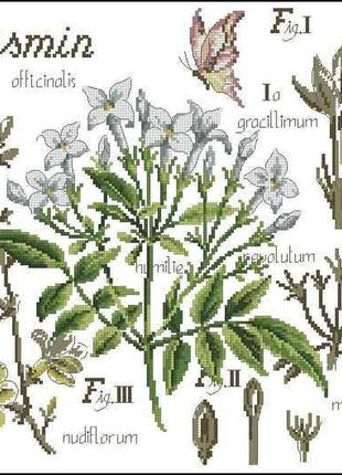 Набор для вышивки крестиком. размер: 27*28 см жасмин