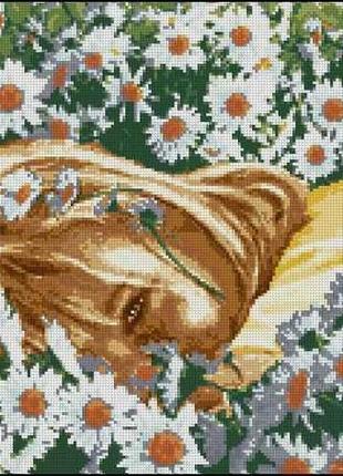 Набор для вышивки крестиком. размер: 45*26 см ромашковая фея