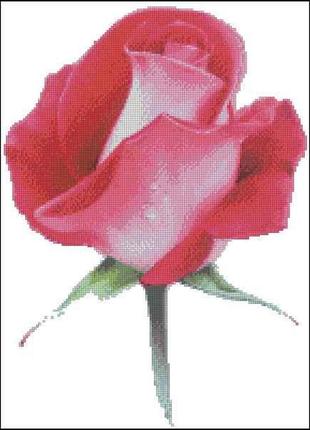 Набор для вышивки крестиком. размер: 23*32 см роза алая