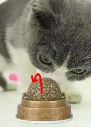 Котяча м'ята та цукерка для кота з вітамінами. набір ласощів для кота2 фото
