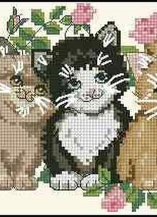 Набор для вышивки крестиком. размер: 22*11 см котята в розах