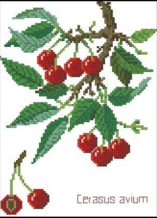 Набор для вышивки крестиком. размер:  13*18 см вишня