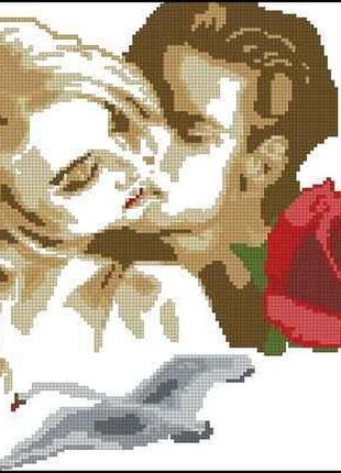 Набір для вишивання хрестиком. розмір: 25*22 см кохання