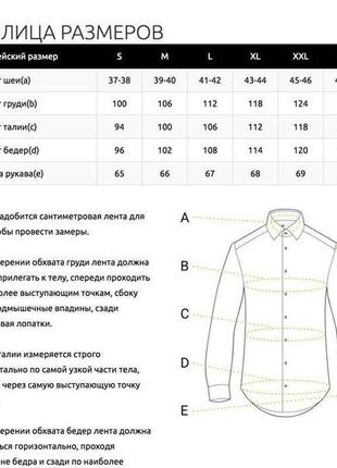 Сорочка приталені в смужку 210-0012 фото