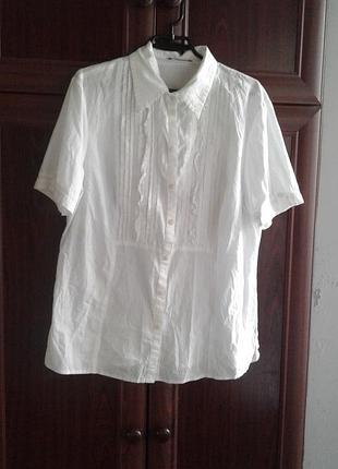 Білосніжна блузка сорочка з коротким рукавом батал bianca.