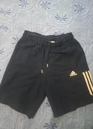 Шорты.