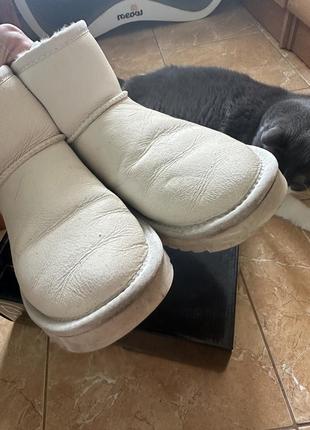 Жіночі білі шкіряні уггі prpy