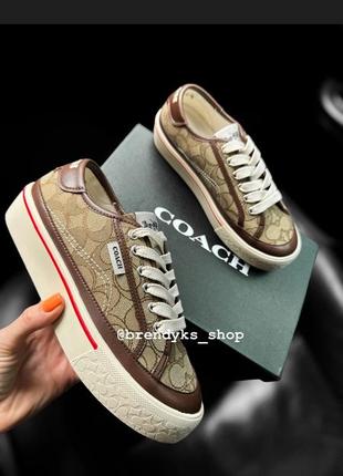 Кеди coach