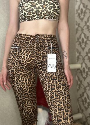 Трендовые леопардовые штанишки легкие xs zara