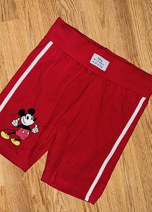 Велосипедки