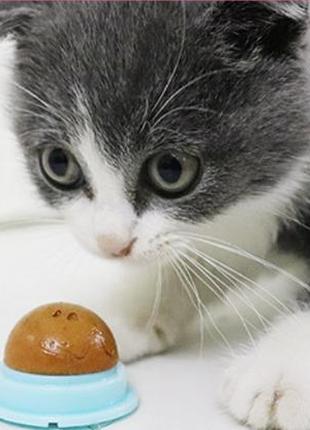 Леденец для кошек, лакомство для кошек, конфета для котов (кошачий сахар) кошачья мята игрушка cat sugar3 фото