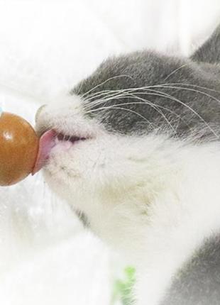 Леденец для кошек, лакомство для кошек, конфета для котов (кошачий сахар) кошачья мята игрушка cat sugar5 фото