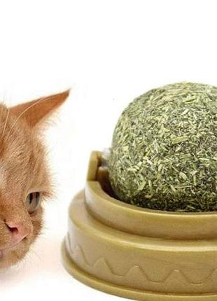 Кошачья мята игрушка для кошек вкусняшка catnip