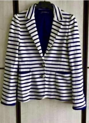 Піджак відтоновий у смужку zara