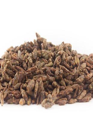 Береза почка 500г