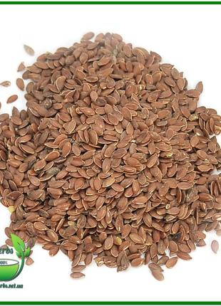 Лен семена 500г