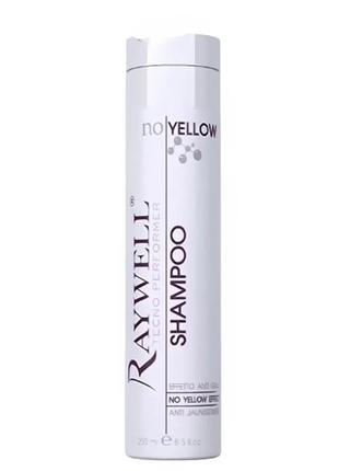 Raywell no yellow шампунь антижелтый
