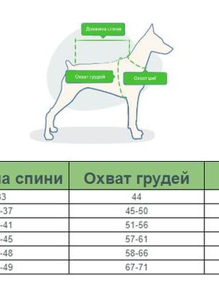 Трусы - боди гигиенические для собак желтый с принтом киви размер s2 фото