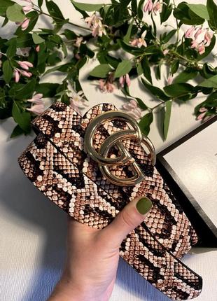 Primark gucci belt on sale