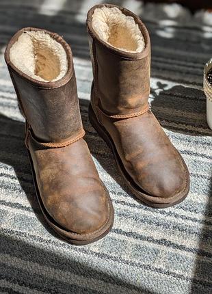 Ugg оригинальные женские сапоги