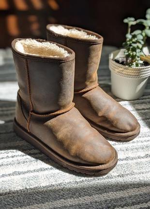 Ugg оригинальные женские сапоги