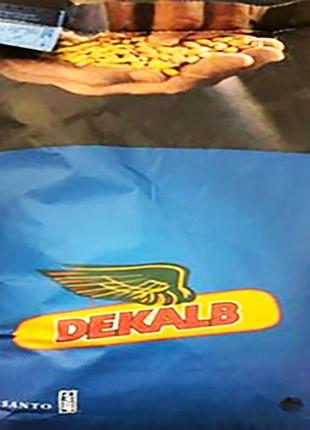 Насіння кукурудзи monsanto дкс 3050 фао 200 посівний гібрид кукурудзи монсанто дкс 3050