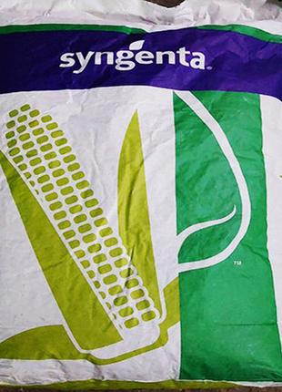 Насіння кукурудзи syngenta сіско фао 400 посівної гібрид кукурудза сингента сіско