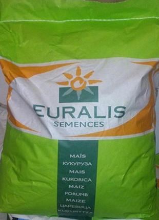 Насіння кукурудзи euralis єс сенсор фао 370 посівний гібрид кукурудза євраліс єс сенсор