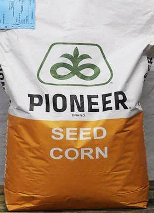 Насіння кукурудзи pioneer p8745 фао 280 посівної гібрид кукурудзи піонер п8745