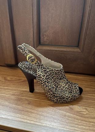 Туфлі жіночі лео