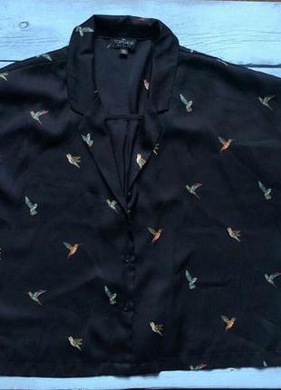 Сорочка nwt topshop hummingbird4 фото