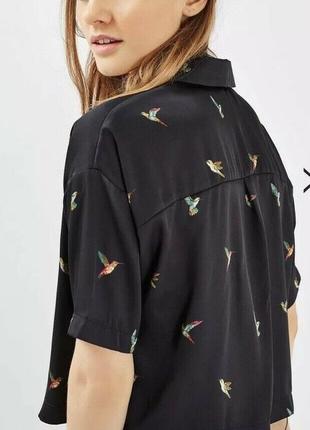 Сорочка nwt topshop hummingbird6 фото