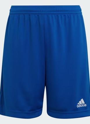 Дитячі спортивні шорти adidas, шорти для хлопчика адідас оригінал