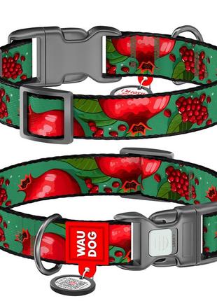 Нашийник для собак нейлоновий waudog nylon з qr паспортом, малюнок "гранати", пластиковий фастекс, s, ш 15 мм,