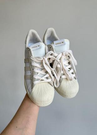 Женские кроссовки adidas superstar white/beige3 фото